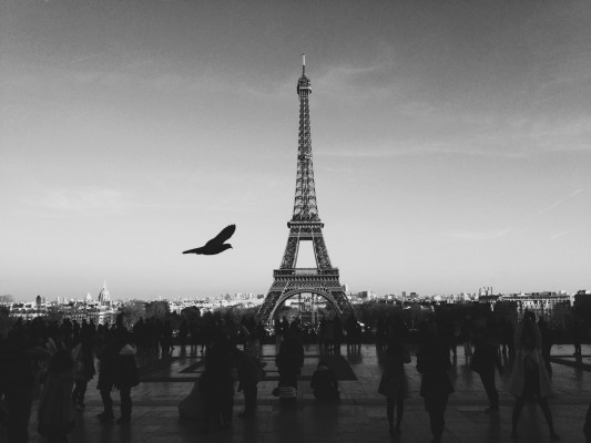Garante per affitti in Francia
